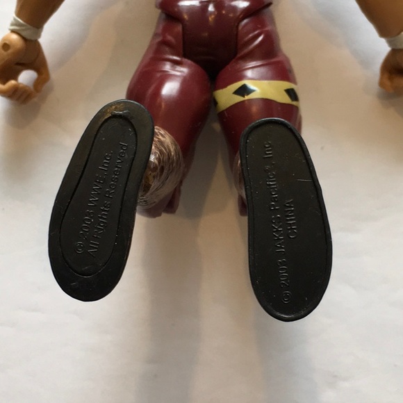 Jake ‘The Snake’ Roberts WWE Classic Superstars Series 3: 2003 Action Figure. - Picture 8 of 8